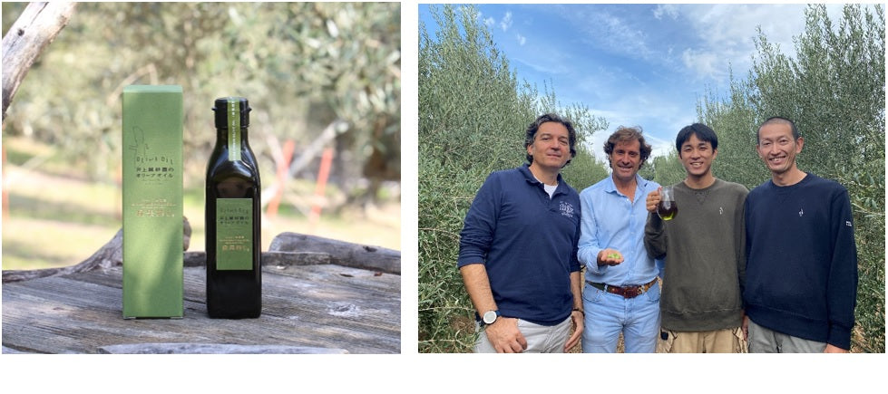 季節限定的特級初榨綠橄欖油