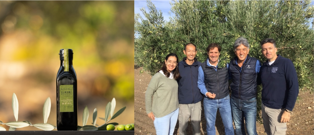 認識「西班牙農場產 特級初榨綠橄欖油 」