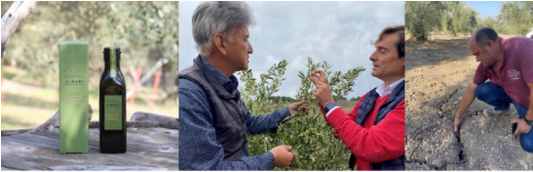 面對氣候變遷，堅持品質的珍貴橄欖油