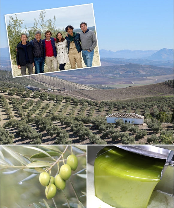 特級初榨綠橄欖油（來自西班牙農場）180g