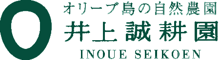 Lumi-Inoue